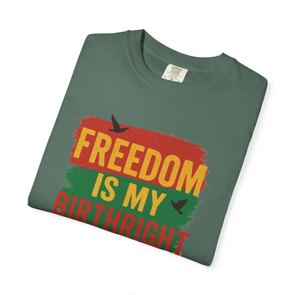 Freedom Is My Birthright T-Shirt