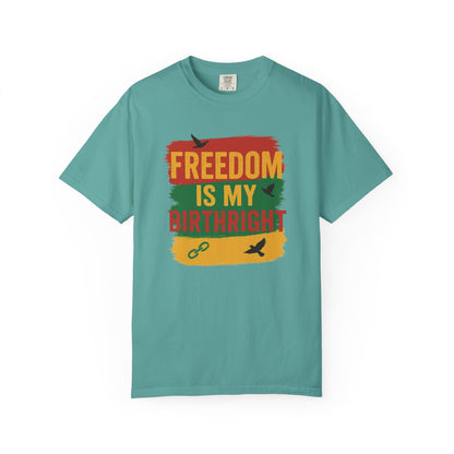 Freedom Is My Birthright T-Shirt