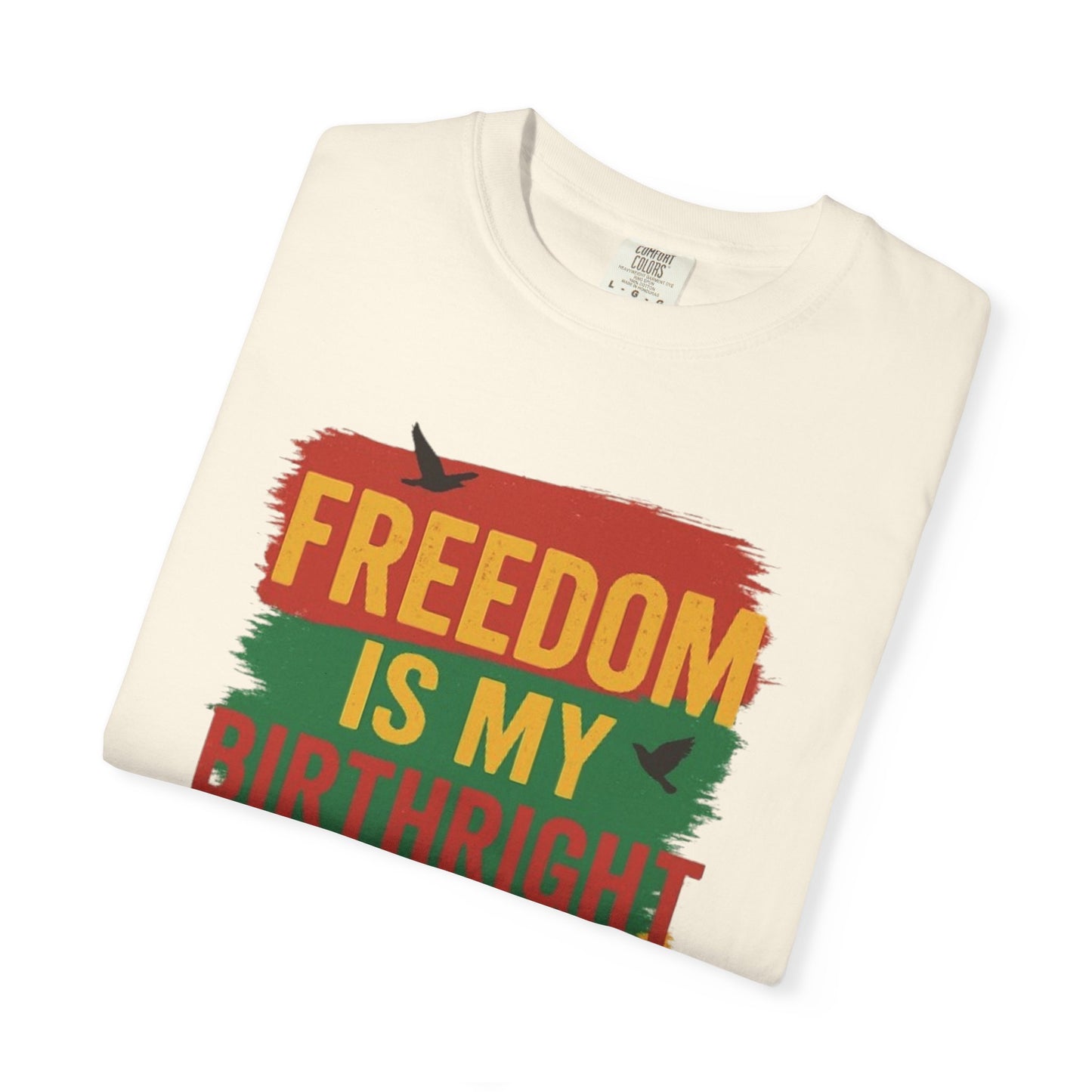 Freedom Is My Birthright T-Shirt